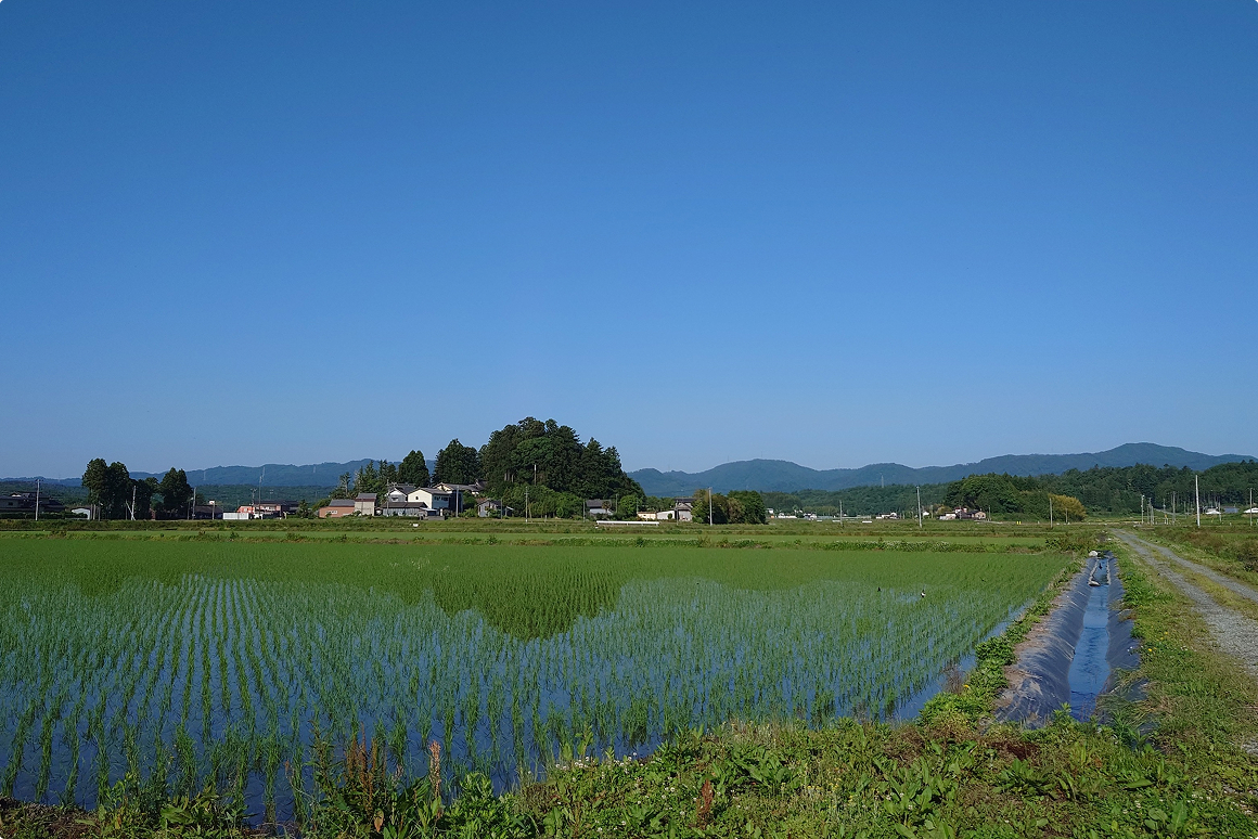 見えないインフラが支える、農業の未来